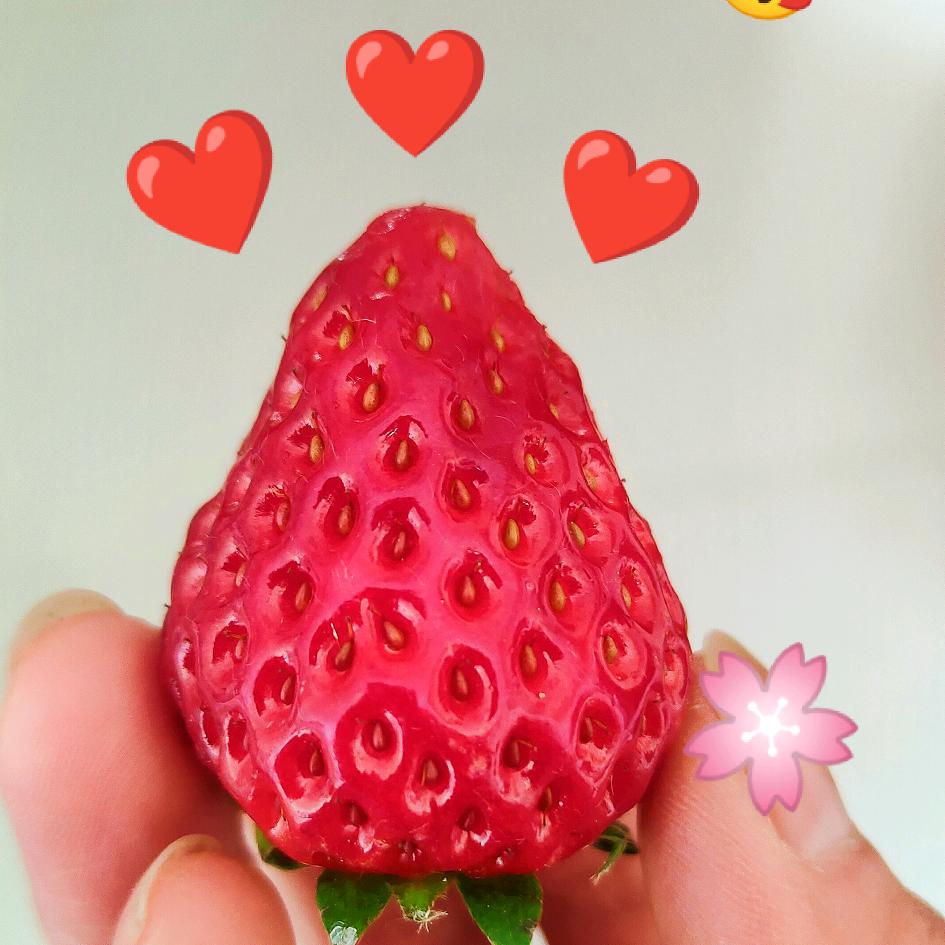 夕夕吖~