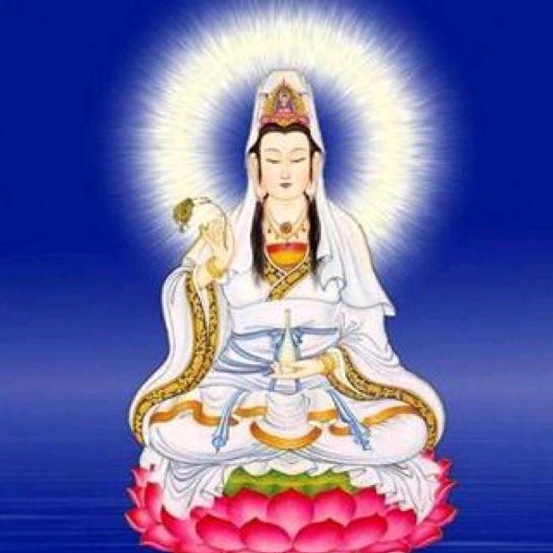 卯卯