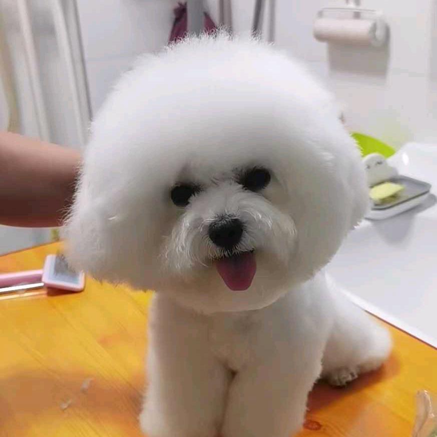 安逸生活