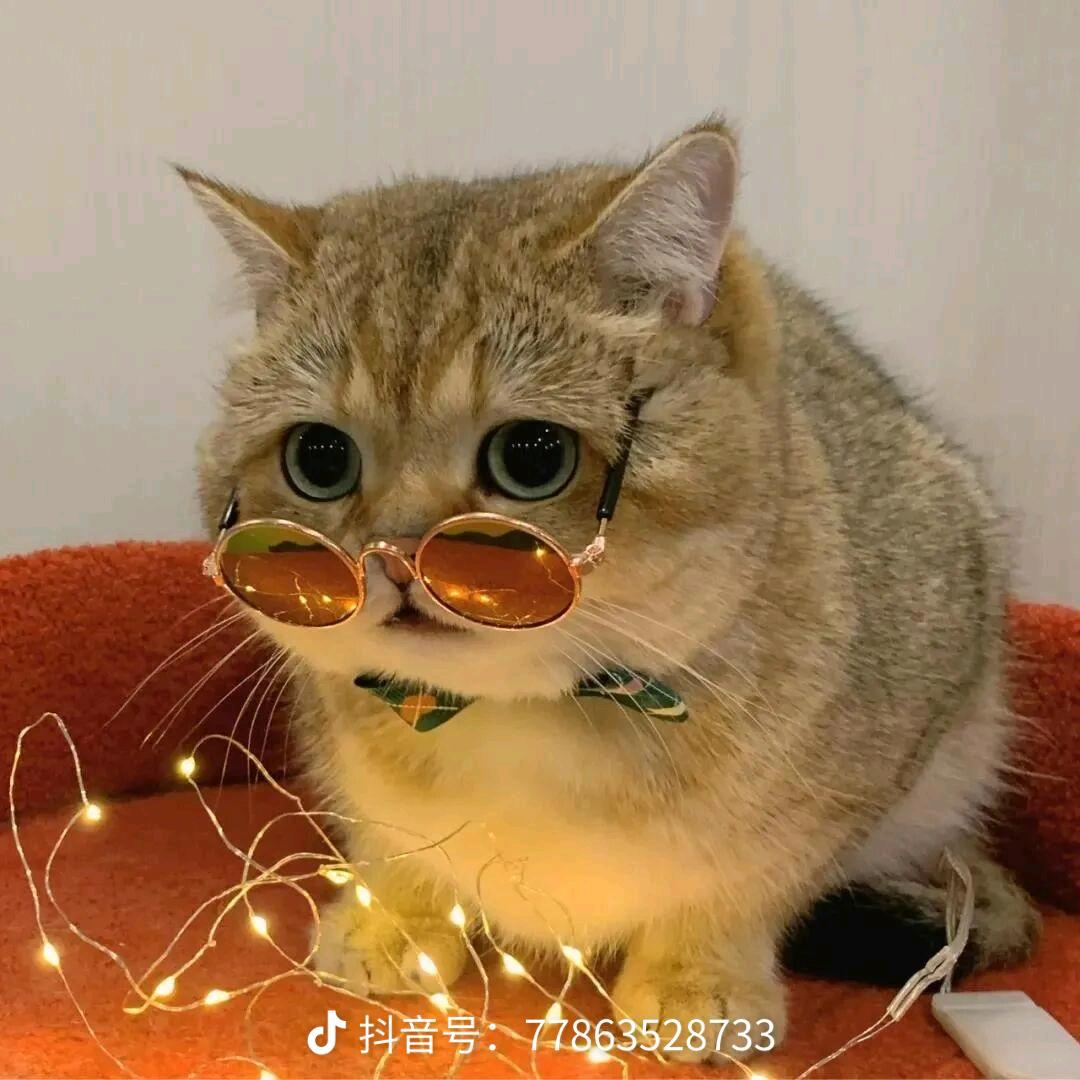 好时光