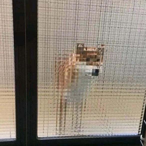 慢粥