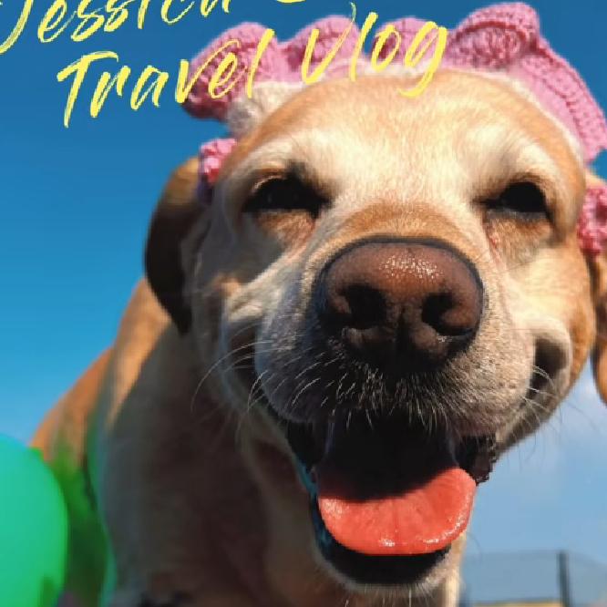 𓆡𓆝𓆟𓆜𓆞𓆝𓆟𓆜𓆞