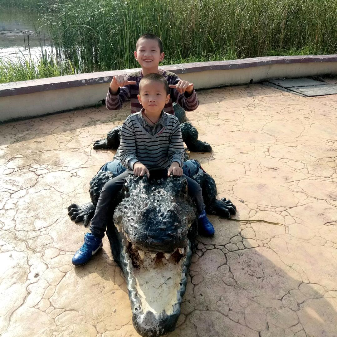 红小豆 🌞