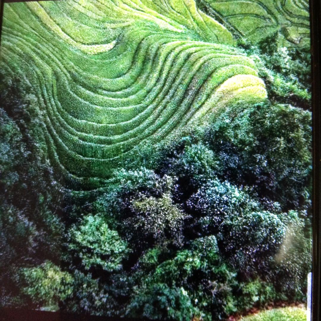 小哥哥    💋💋