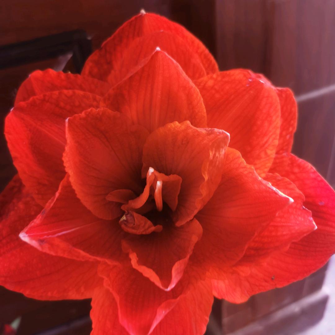 我是低调姐🧝‍♀️🧝‍♀️🧝‍♀️