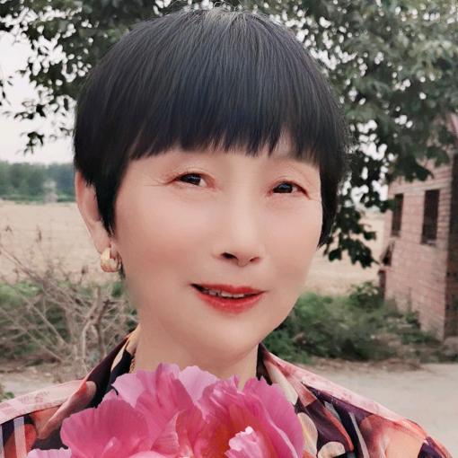 🌸🌸美🌸🌸