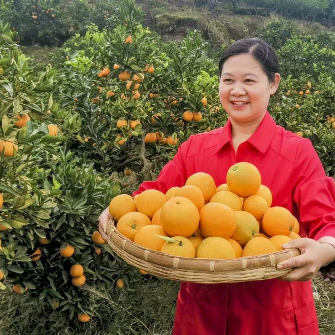 重庆市璧山区（尹大姐）富莉萱