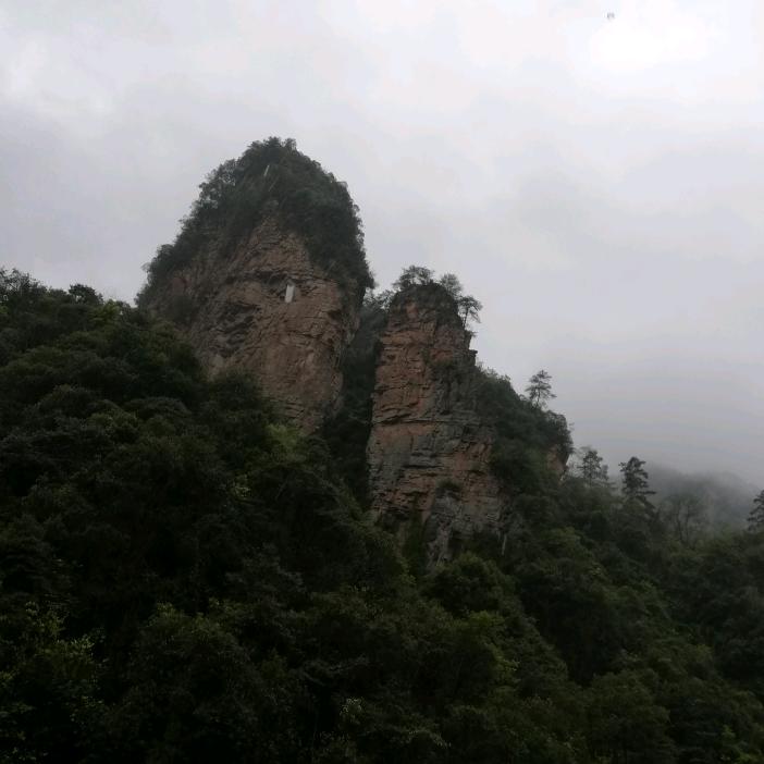 用户S60