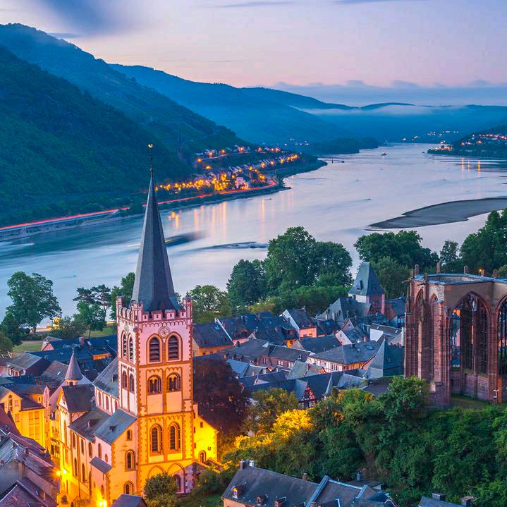 数星星的砂糖橘