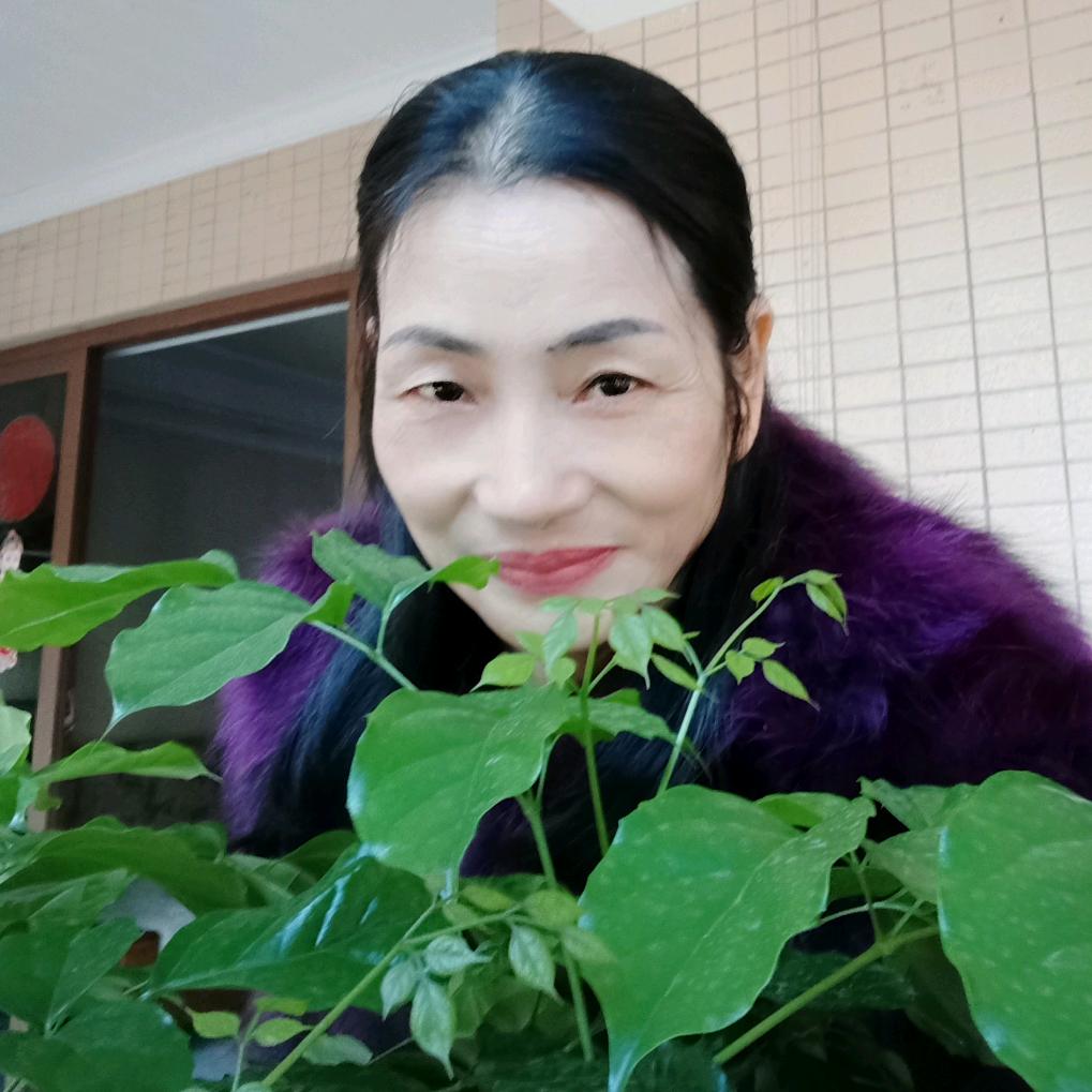 舞动人生