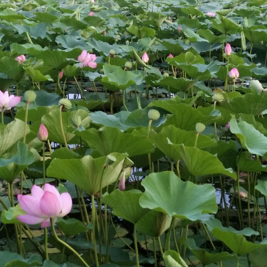 哥的世界，哥做主