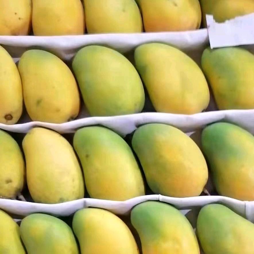 果农 （不小心创业了）