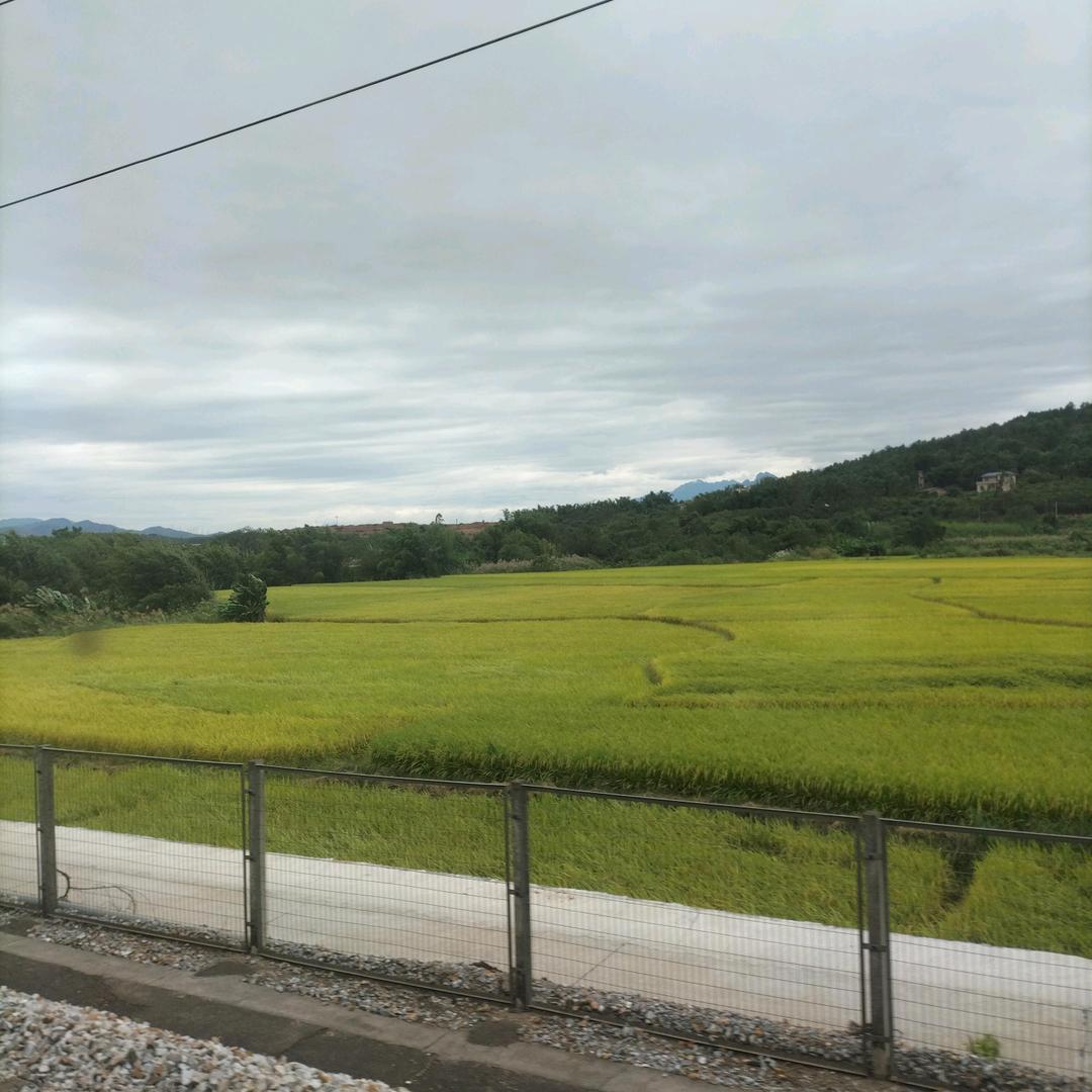 禅定心空