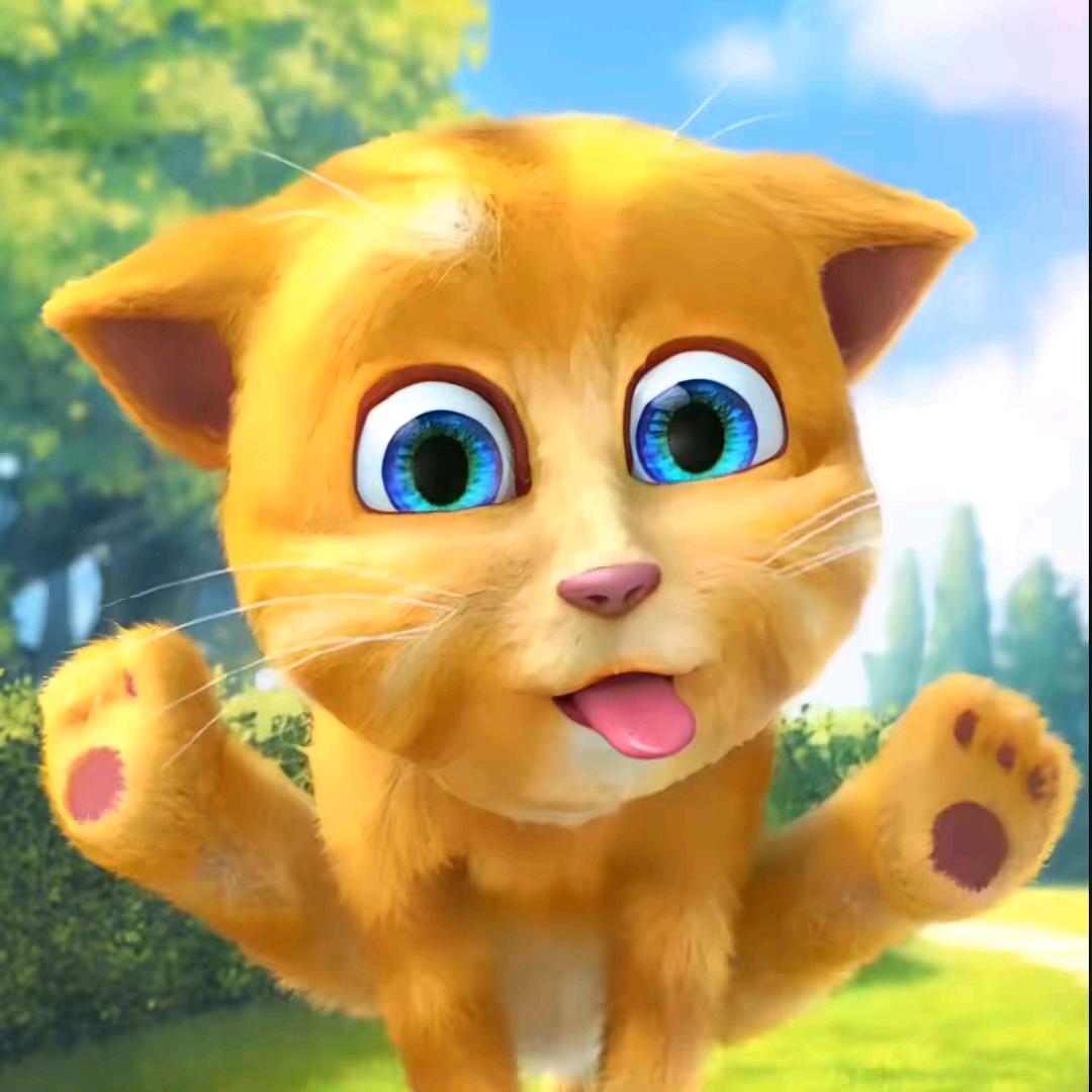 汤姆猫