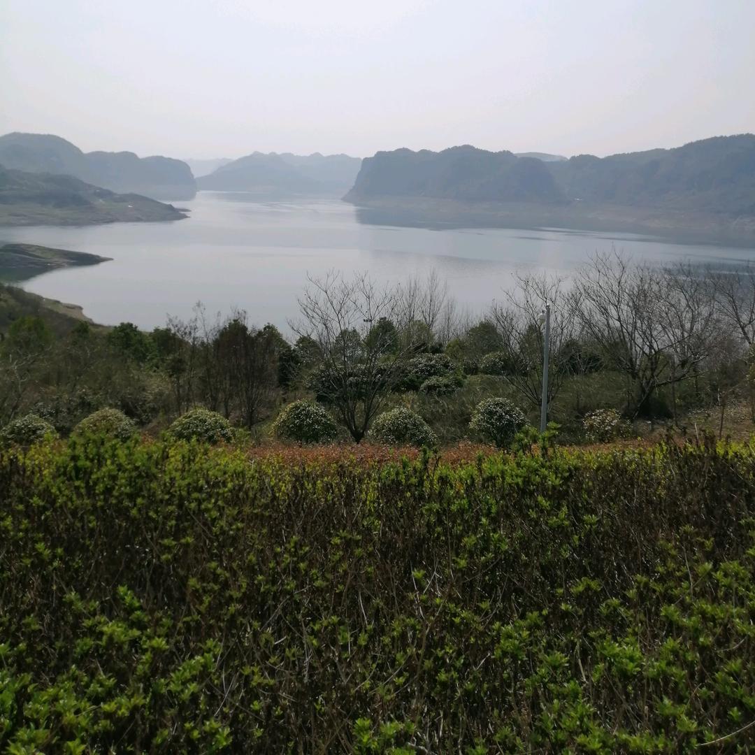 辛苦