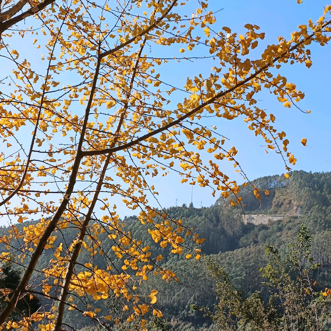 因上努力，果上随缘