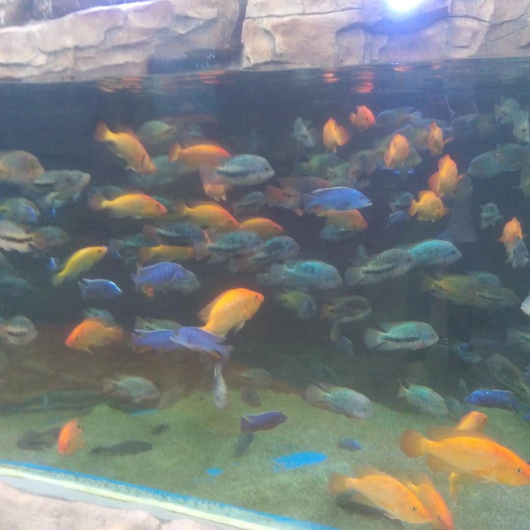 顺其自然