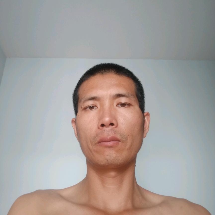向阳木