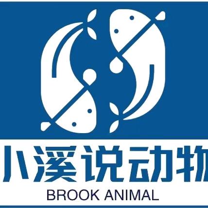 小溪说动物