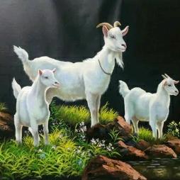 🌹禅悟人生🌹