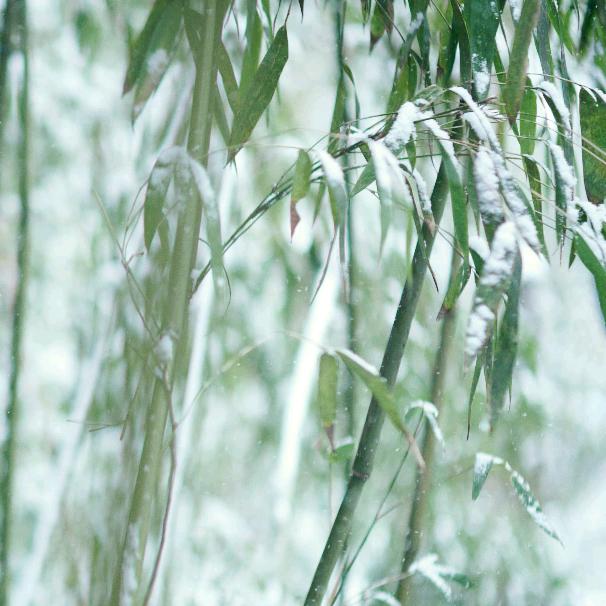 ٩(๑•̀ω•́๑)۶晓(♡⌂♡)