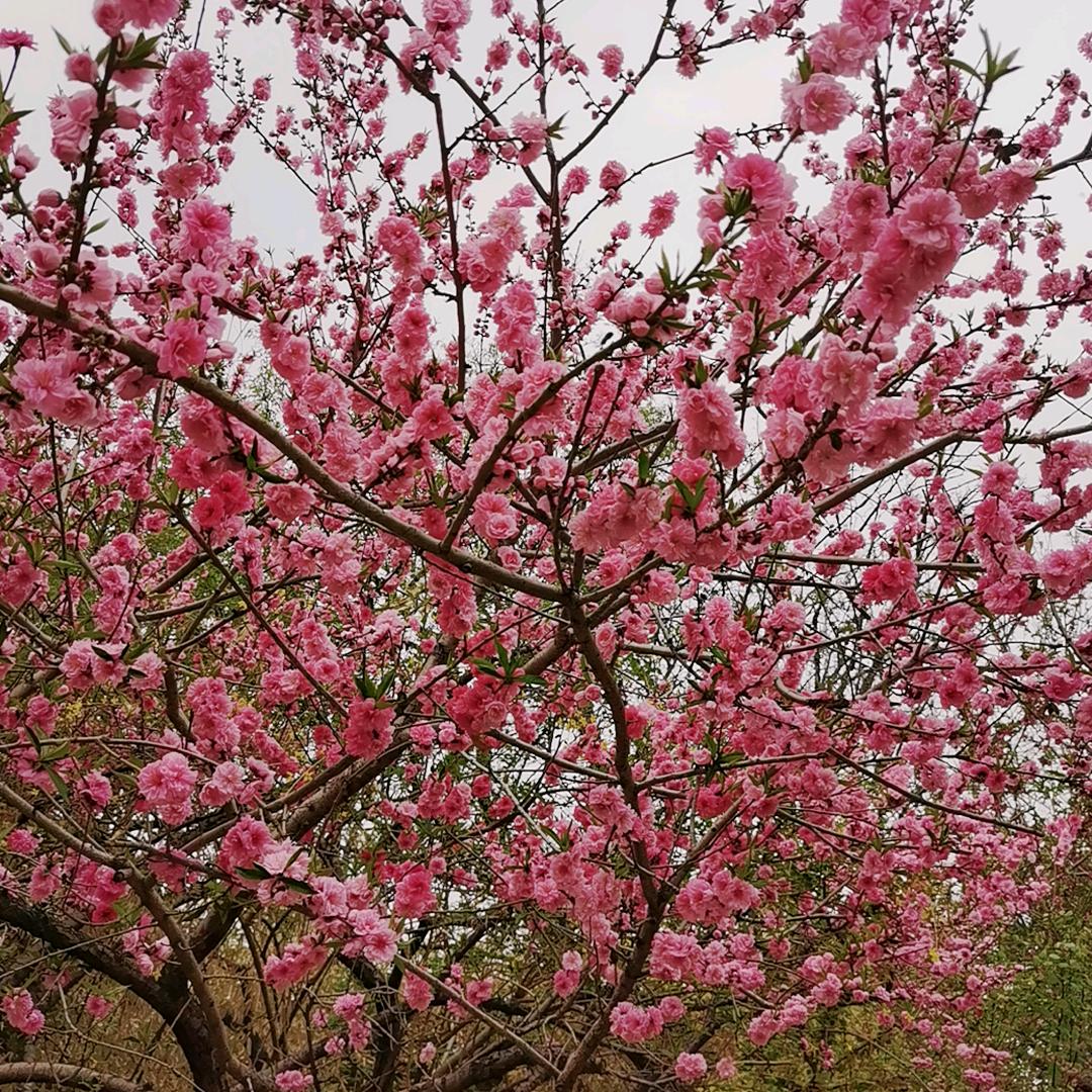 我就是我不一样的我