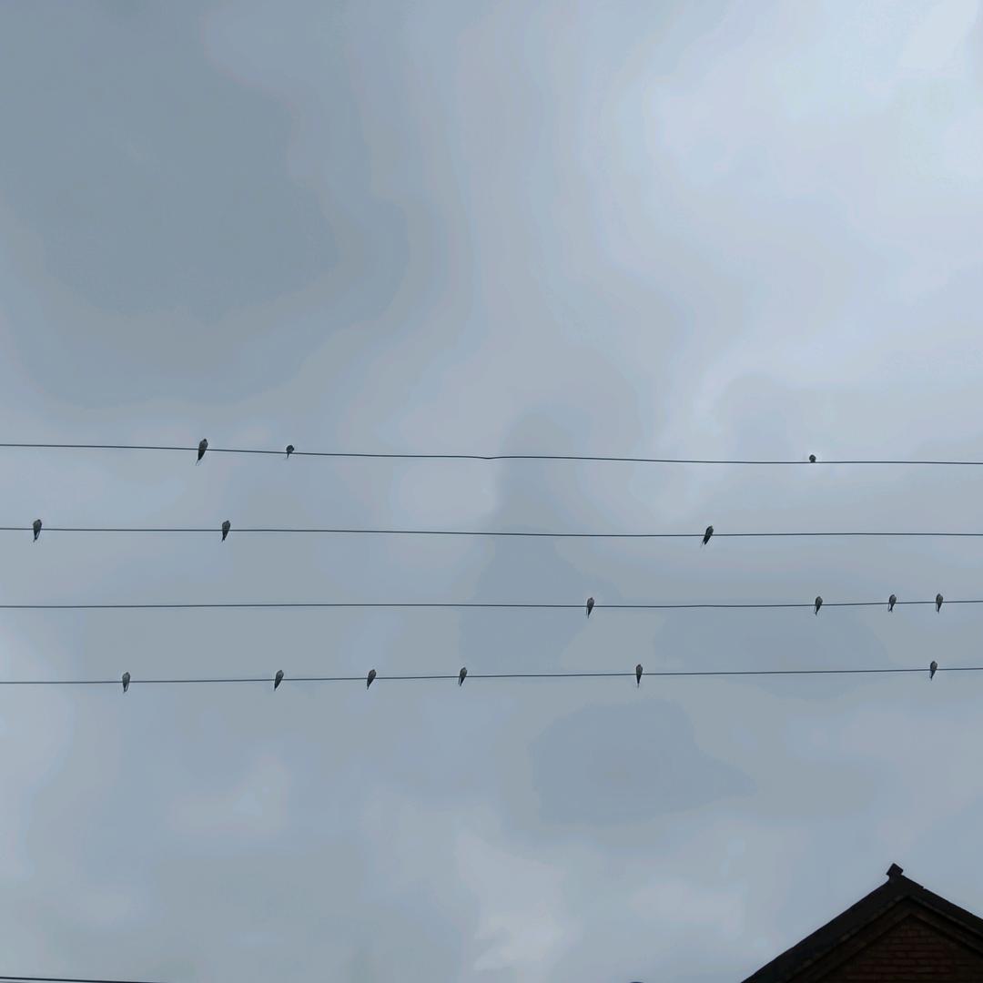 酒可穿肠，亦可解忧