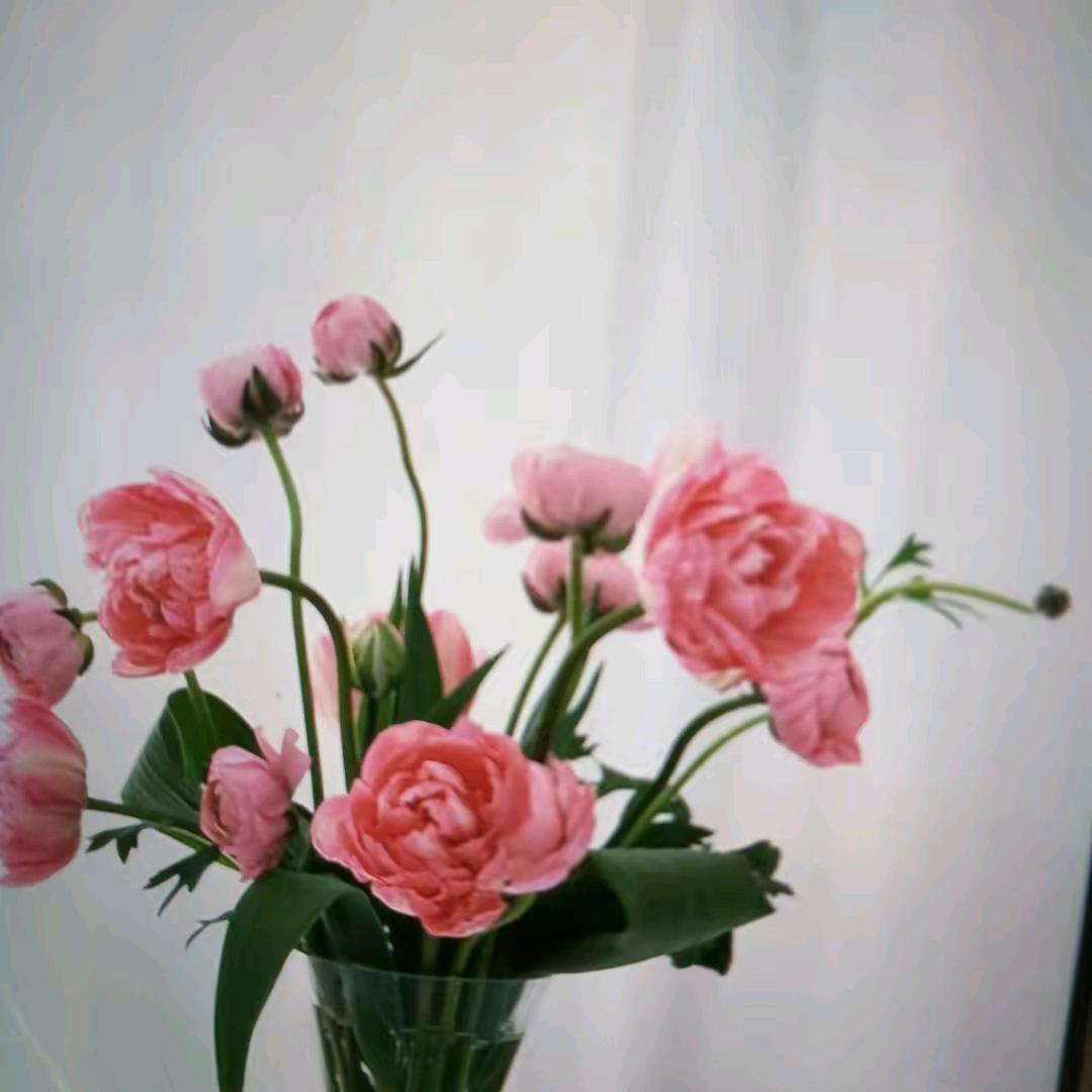 任姐