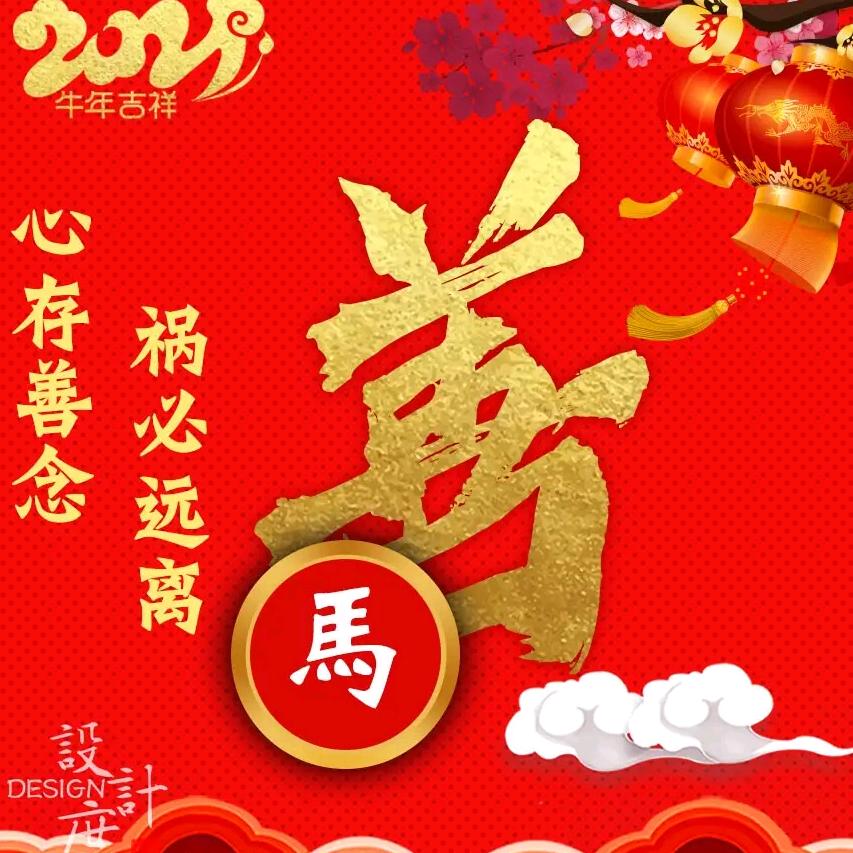 小马哥
