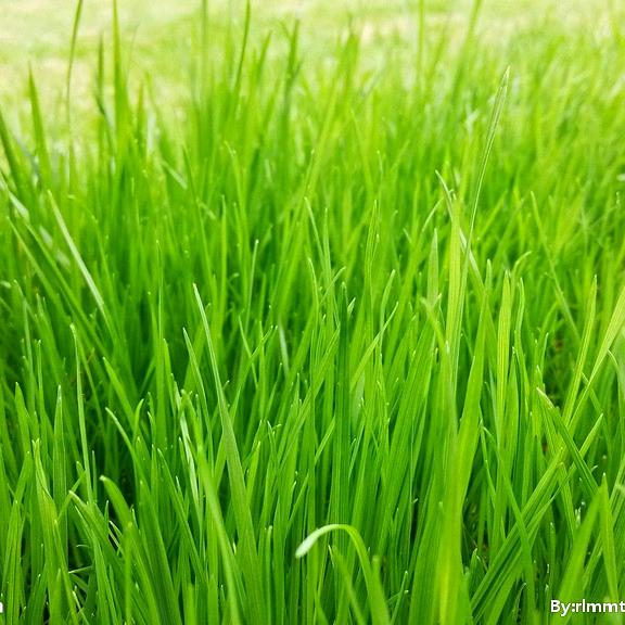 泌阳贴砖宋师傅