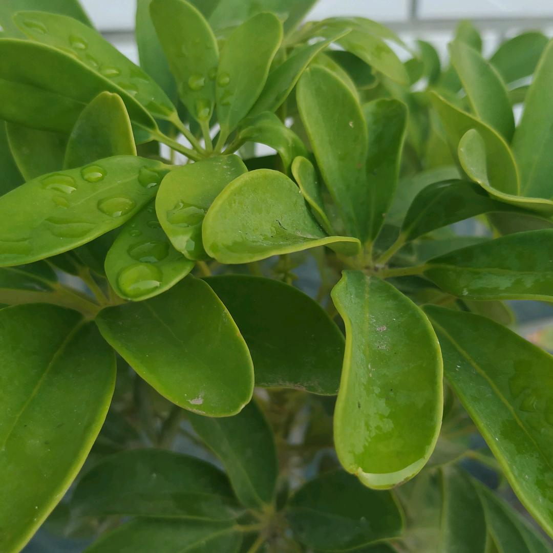 陪你一起去看海