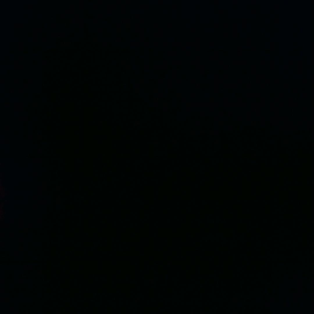 龙鹰