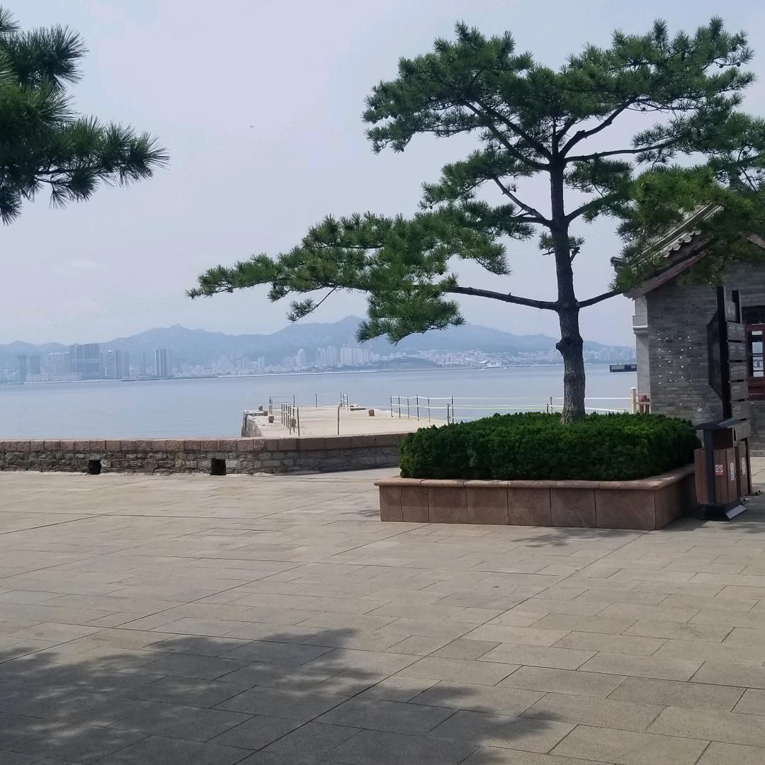 发仔