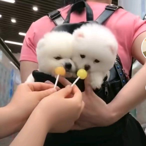 靓锦纺织