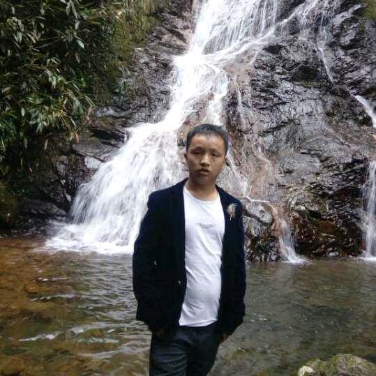 志苗