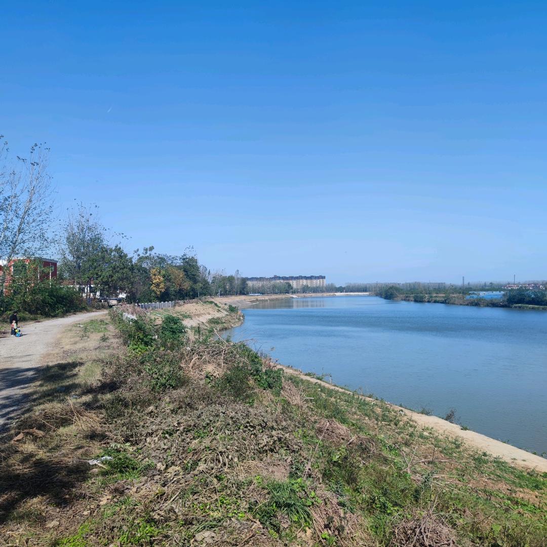 琛沣电子商务(甄选号)