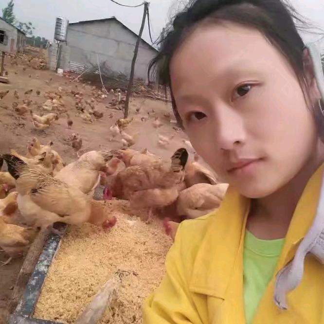 泪水的教诲