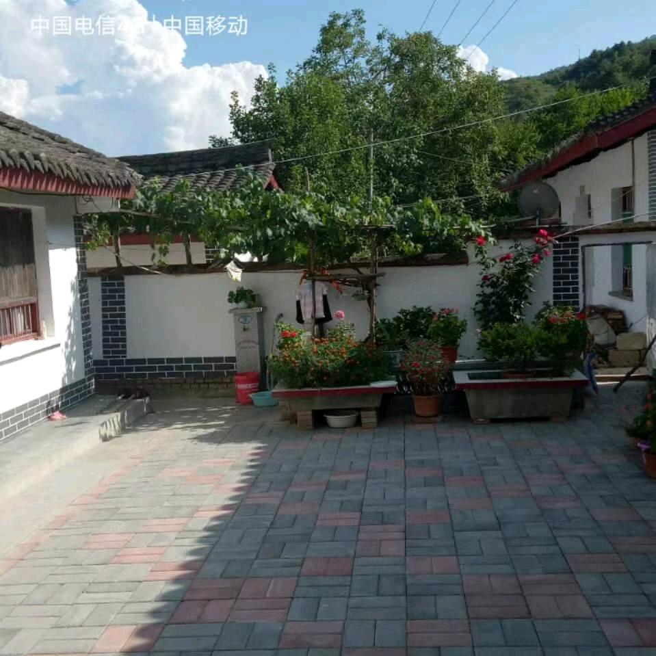 @果宝贝