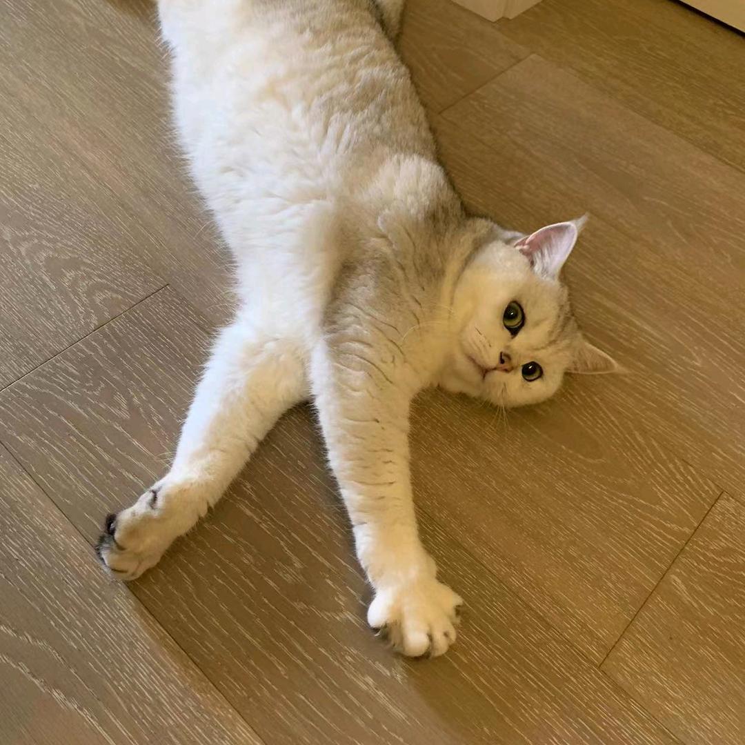 夜雨秋风一片花