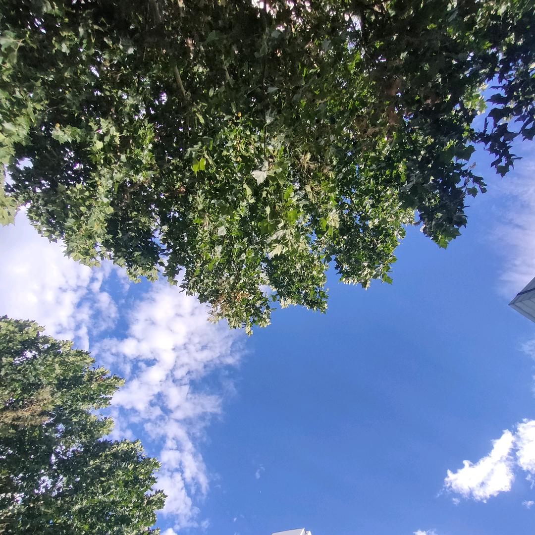 山西高校君