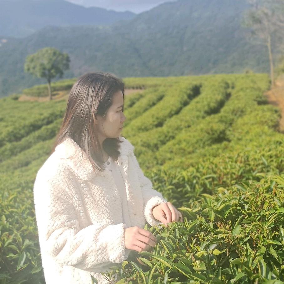 山涧绿韵茶叶