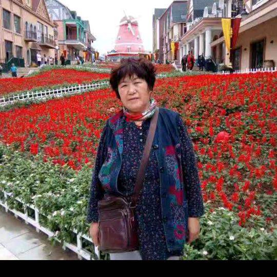 8279162684186王沂秀65岁