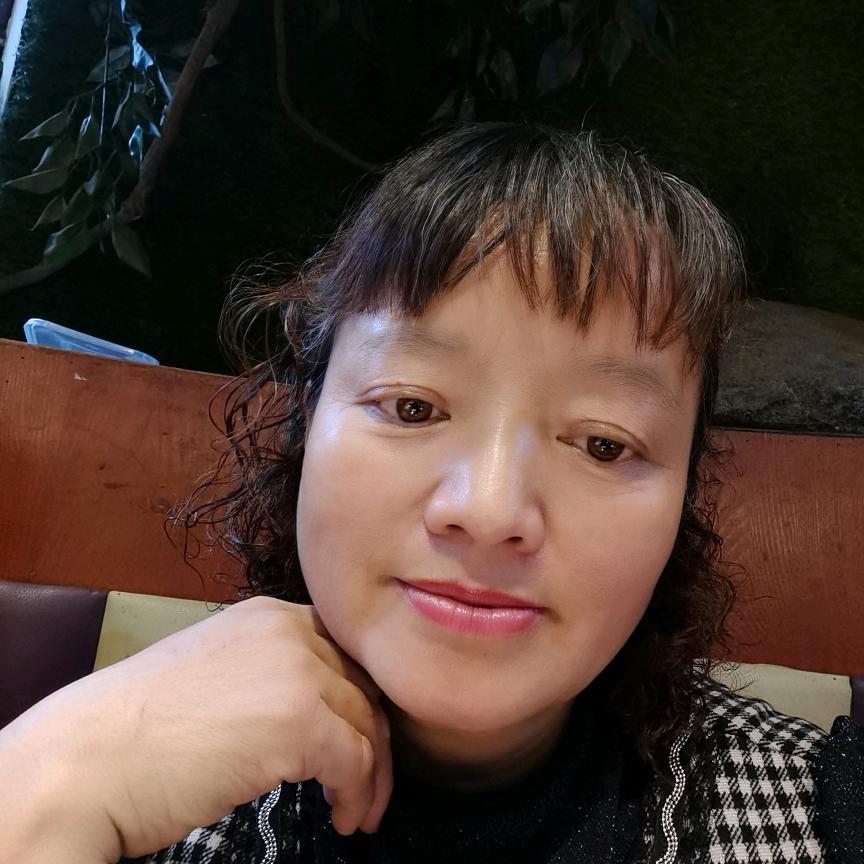 追赶太阳的人