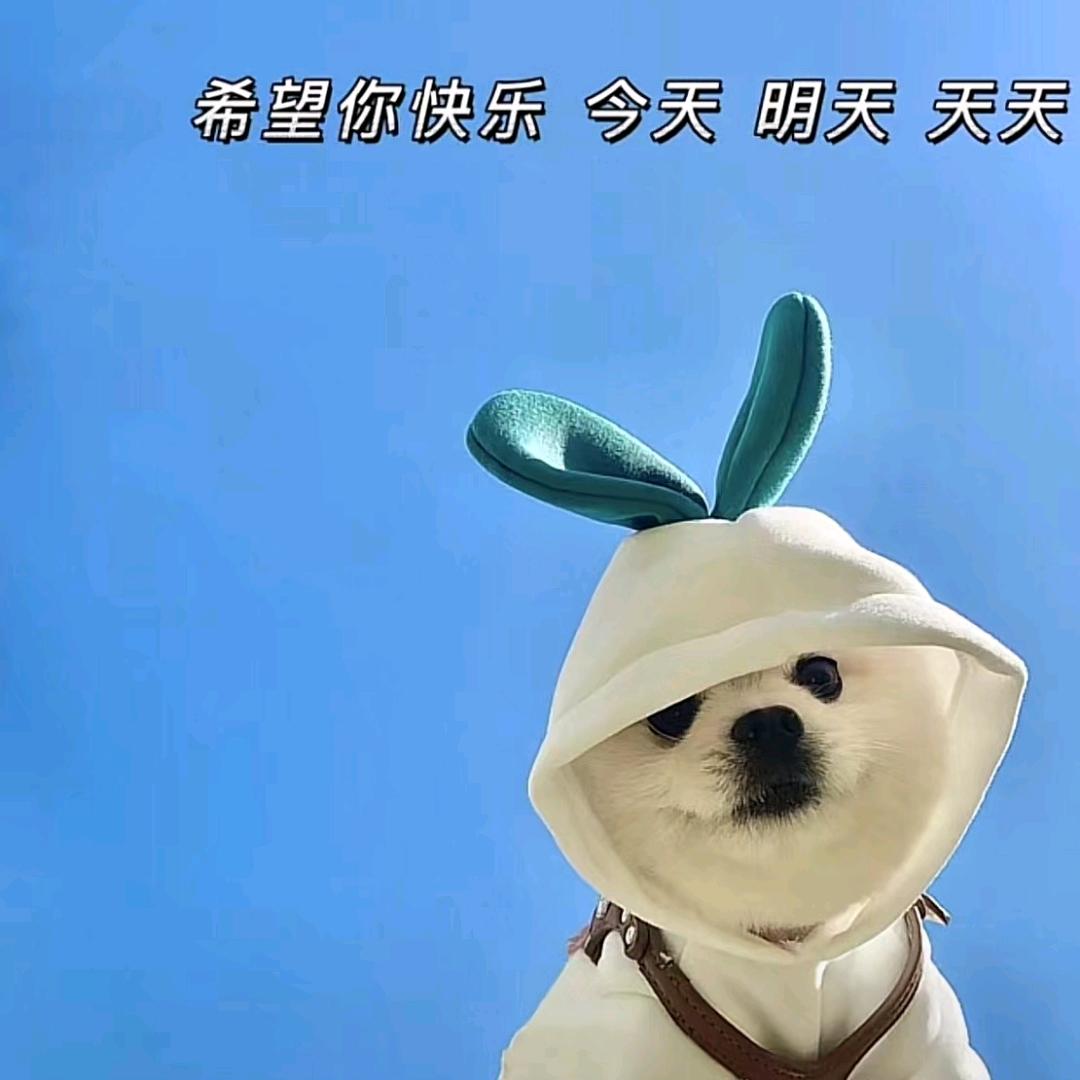 海宝