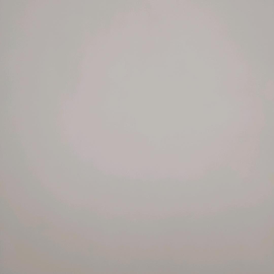 🦋🦋🦋