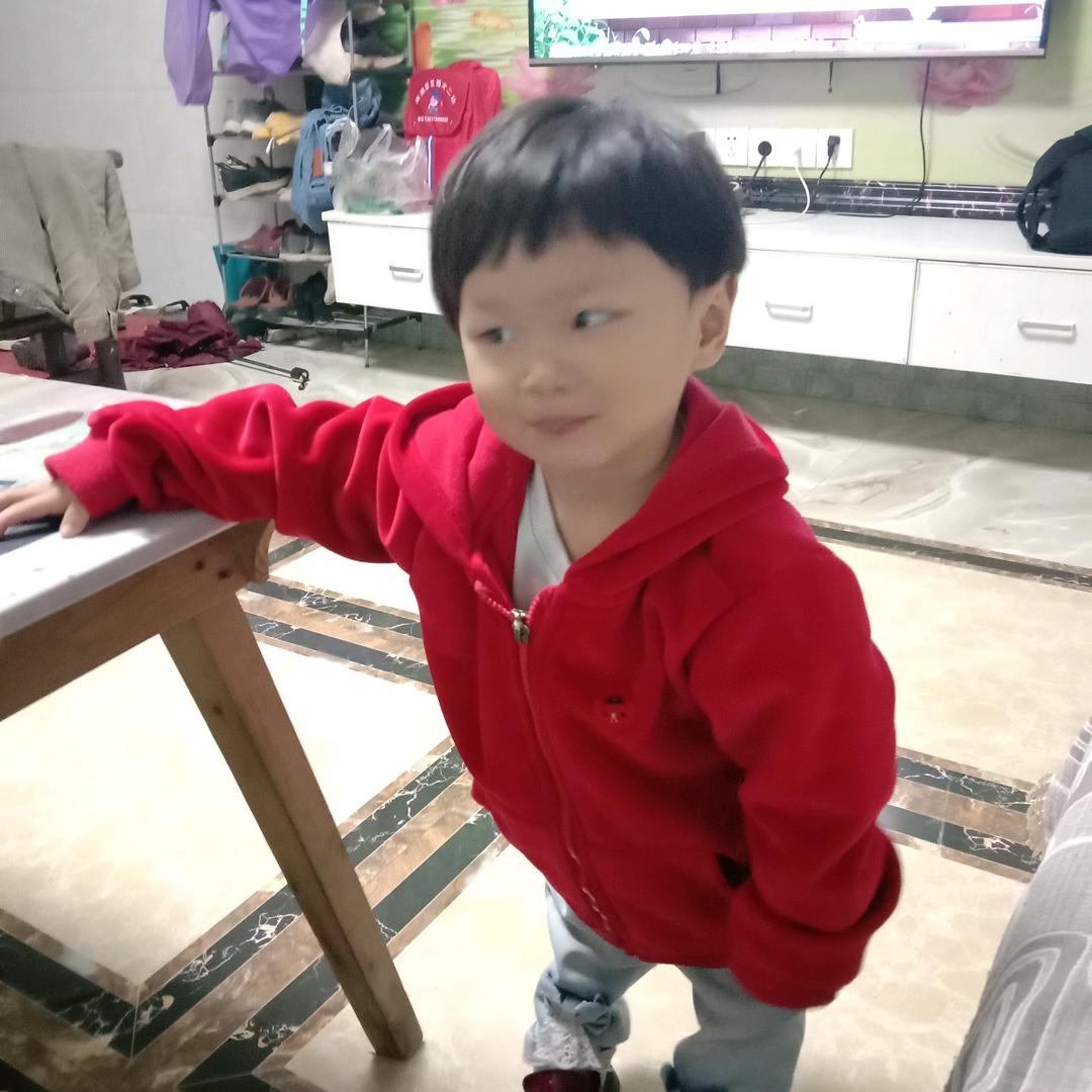 卢哥