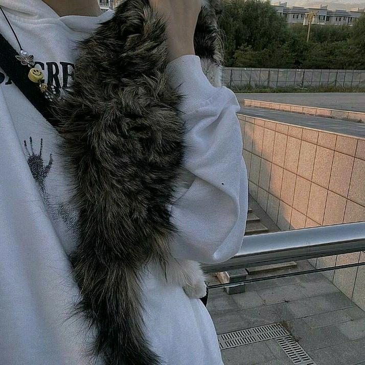 秋