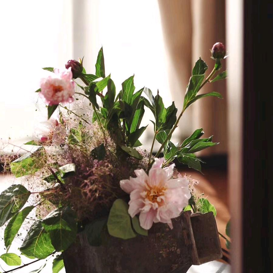 東麗～清溪小院