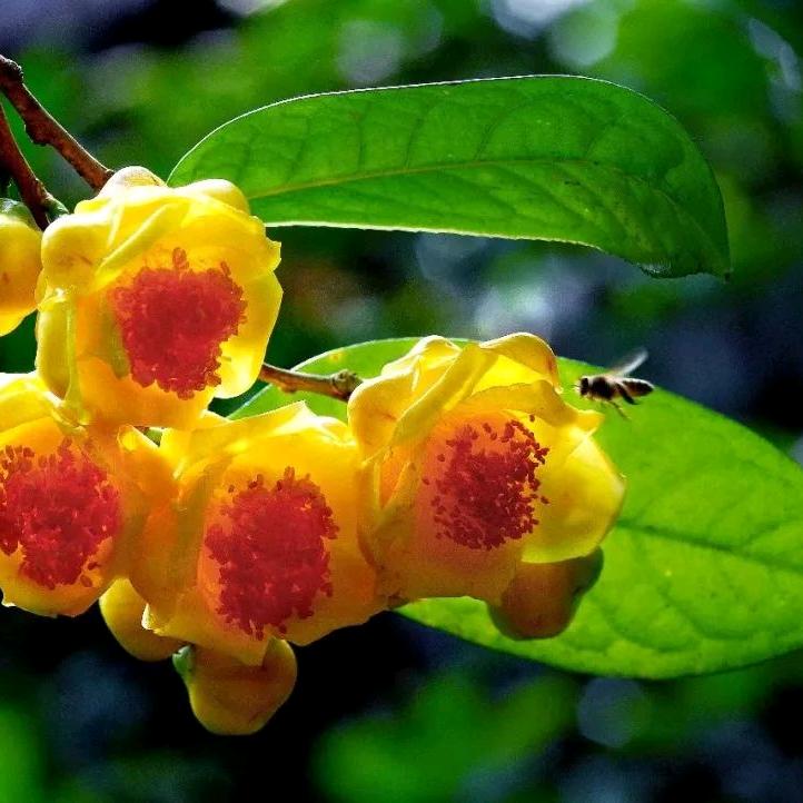 津彤优选⁶⁶¹