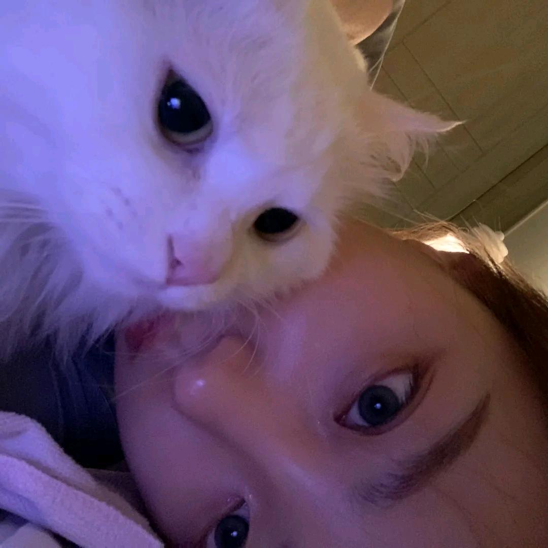 静.